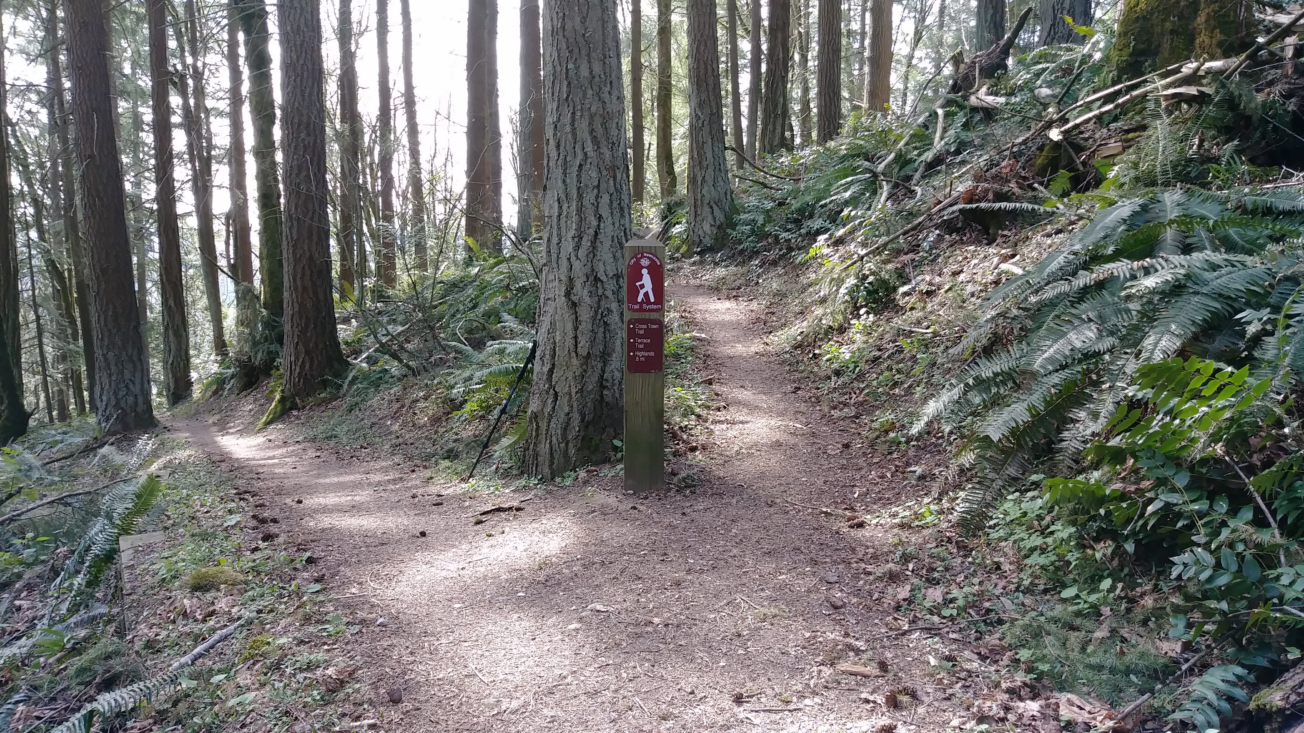 ../images/trails/terrace//12 Looking back from junction with CrossTown Trail (right).jpg